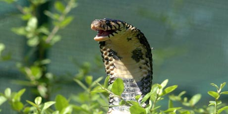 Ad: ekopark2.jpg
Gösterim: 1408
Boyut: 18.5 KB