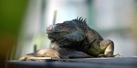 Ad: ekopark3.jpg
Gösterim: 1386
Boyut: 15.3 KB