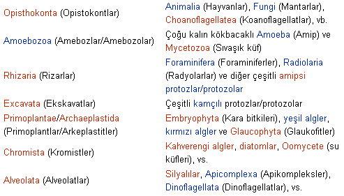 Ad:  o_grup.PNG
G�sterim: 454
Boyut:  13.3 KB