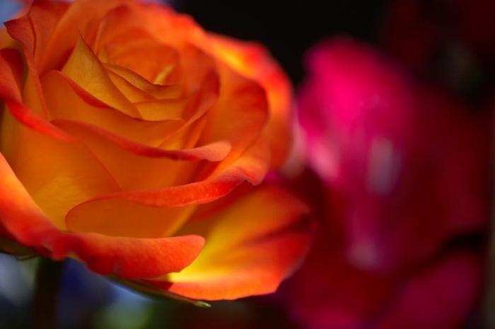 Ad: 88701296.zrdG9axO.jpg
Gösterim: 192
Boyut: 21.0 KB