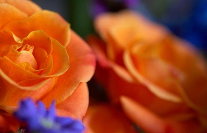 Ad: 88725652.ouuIKry6.jpg
Gösterim: 355
Boyut: 23.4 KB