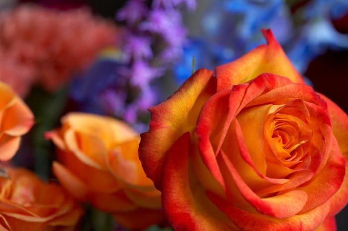 Ad: 88725654.p3wQLoAJ.jpg
Gösterim: 362
Boyut: 34.1 KB