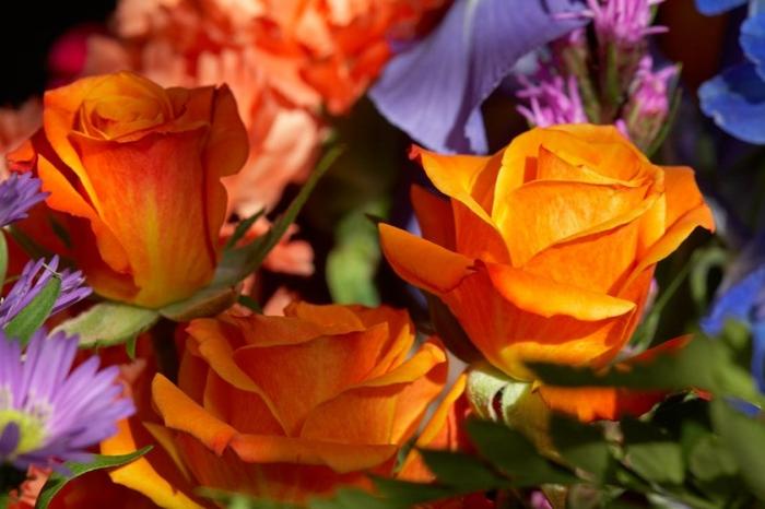 Ad: 88701302.xorWPK3O.jpg
Gösterim: 317
Boyut: 43.1 KB