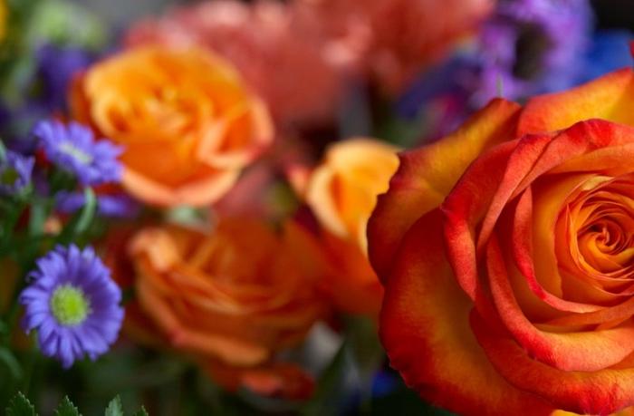 Ad: 88725656.vXqth4vF.jpg
Gösterim: 153
Boyut: 32.4 KB