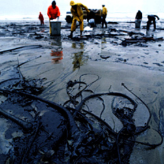 Ad:  Oil-spill.jpg
Gsterim: 317
Boyut:  45.6 KB