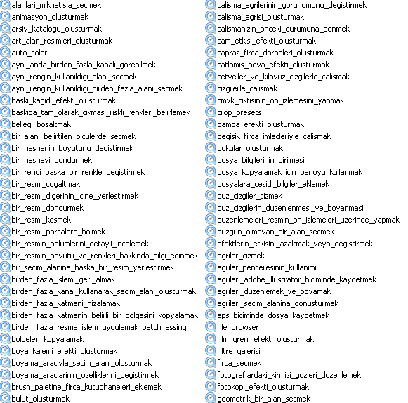 Al�nt�daki Ek 13051