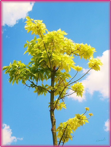 Ad:  559856355_d6487cab5e.jpg
G�sterim: 262
Boyut:  125.9 KB