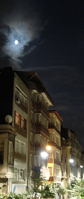 Ad:  188968979_a7b1ace62d_o.jpg
Gsterim: 381
Boyut:  203.7 KB