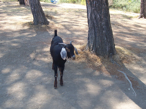 Ad:  1315312684_82e470854d.jpg
Gsterim: 341
Boyut:  144.5 KB