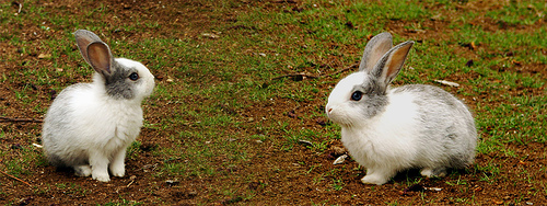 Ad:  488325838_d960c137c9.jpg
Gsterim: 493
Boyut:  122.1 KB