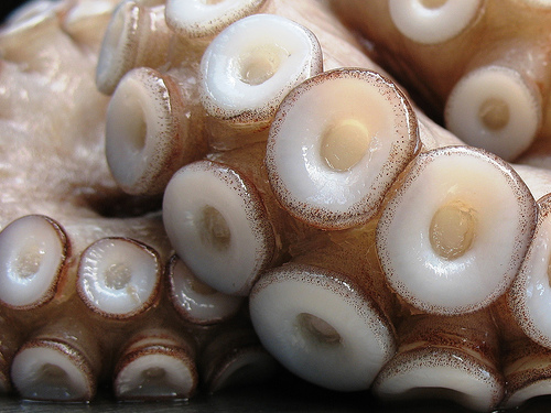 Ad:  500631254_d7e1b5cc12.jpg
Gsterim: 995
Boyut:  111.5 KB