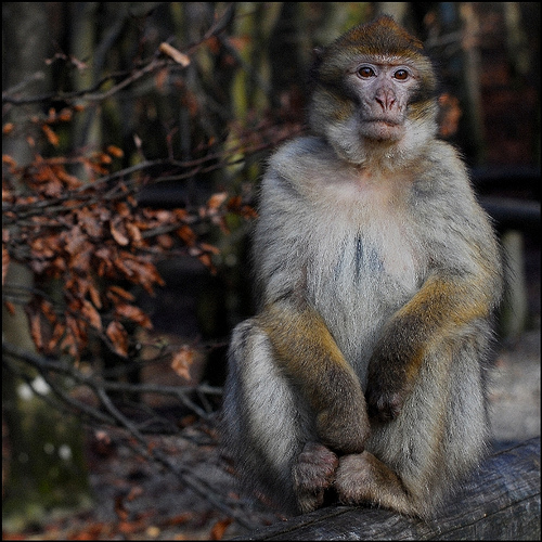 Ad:  2201662997_02d7336018.jpg
Gsterim: 831
Boyut:  160.5 KB