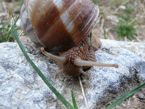 Ad:  1425260174_1cfdc69802.jpg
Gsterim: 286
Boyut:  163.0 KB