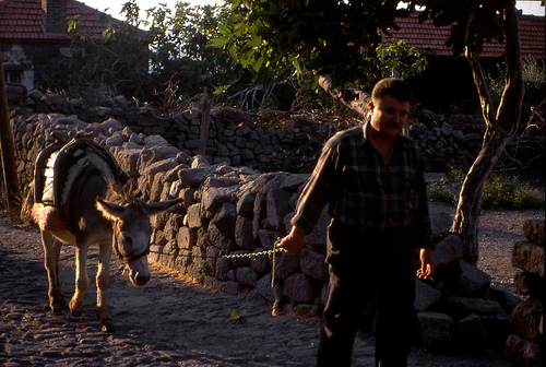 Ad:  532906598_acdea87b24.jpg
Gsterim: 371
Boyut:  140.5 KB