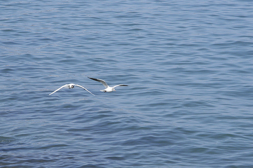 Ad:  419104596_7758b959a7.jpg
Gsterim: 230
Boyut:  94.5 KB