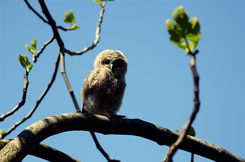 Ad:  477184317_af80729024.jpg
Gsterim: 314
Boyut:  82.2 KB