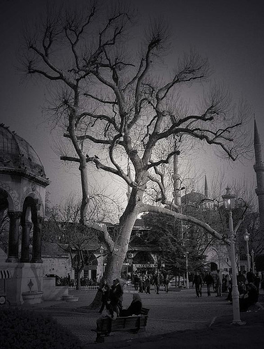 Ad:  462049424_4ab7fa024c.jpg
G�sterim: 217
Boyut:  106.0 KB