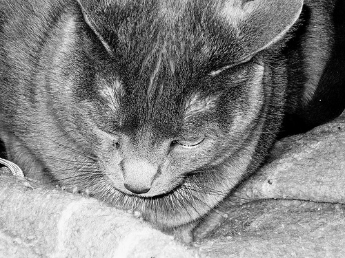 Ad:  2385620158_85b20514eb.jpg
Gsterim: 310
Boyut:  131.4 KB