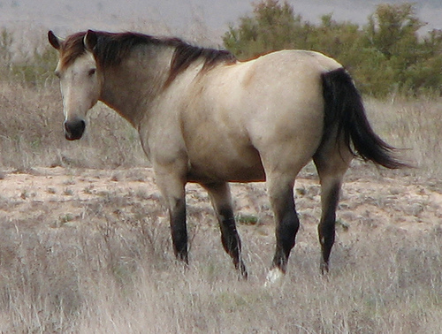 Ad:  431743591_94a9e7ee09.jpg
Gsterim: 329
Boyut:  120.4 KB