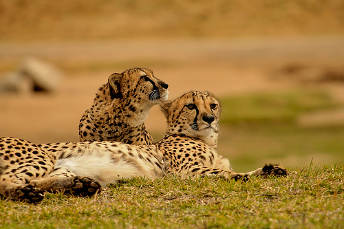 Ad:  82302148_bb52686a6b.jpg
Gsterim: 250
Boyut:  115.9 KB