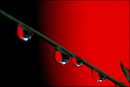 Ad:  241489717_394c77d491.jpg
G�sterim: 174
Boyut:  42.6 KB