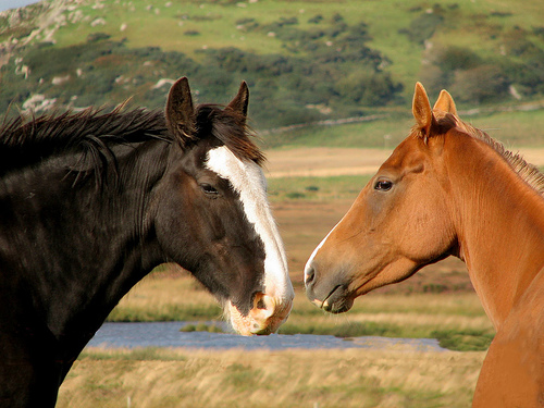 Ad:  45329246_6d250dfd6d.jpg
Gsterim: 260
Boyut:  119.5 KB