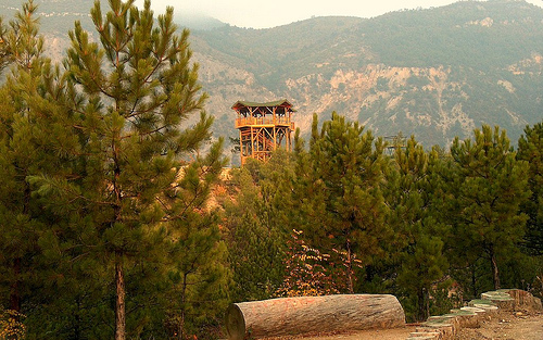 Ad:  2260118480_24c7ee088e.jpg
Gsterim: 256
Boyut:  142.1 KB