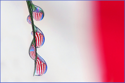 Ad:  715729801_47936e8c62.jpg
G�sterim: 186
Boyut:  55.1 KB