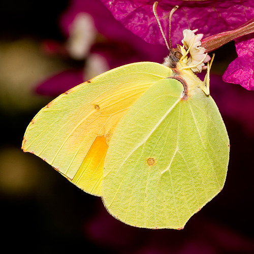 Ad:  857662000_13d7c73649.jpg
G�sterim: 286
Boyut:  172.4 KB