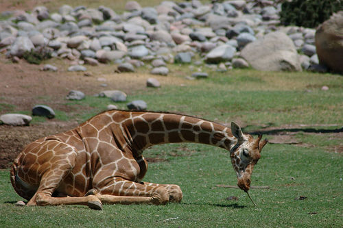 Ad:  16771146_15db99383d.jpg
Gsterim: 230
Boyut:  47.6 KB