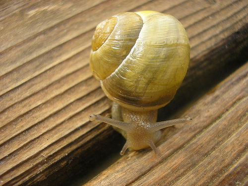 Ad:  10724966_0645910977.jpg
Gsterim: 247
Boyut:  48.6 KB