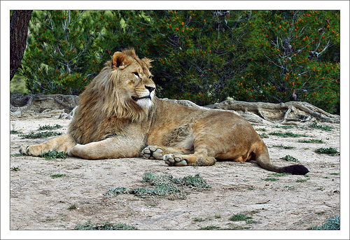 Ad:  2350911583_491c2e2a1c.jpg
Gsterim: 328
Boyut:  185.9 KB