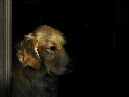 Ad:  1580168607_25b306e85a.jpg
Gsterim: 229
Boyut:  57.9 KB