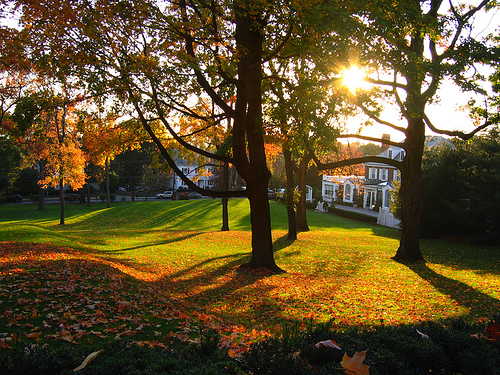 Ad:  1937027021_3dcc766be1.jpg
G�sterim: 202
Boyut:  245.4 KB