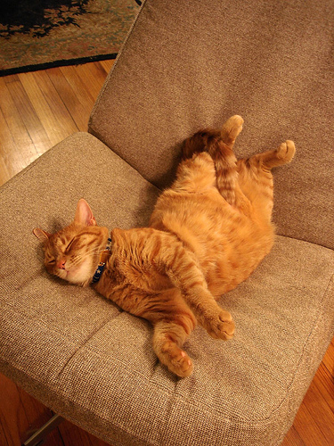 Ad:  2125231121_4fc417b48e.jpg
Gsterim: 197
Boyut:  156.9 KB