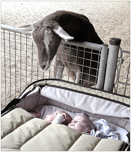 Ad:  253508033_48923a4448.jpg
Gsterim: 311
Boyut:  176.4 KB