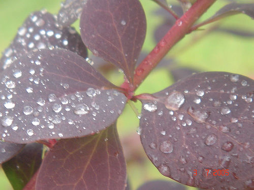 Ad:  42823069_966a846115.jpg
G�sterim: 159
Boyut:  40.1 KB