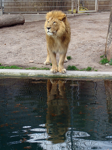 Ad:  2335026177_60f77e0b71.jpg
Gsterim: 233
Boyut:  165.5 KB