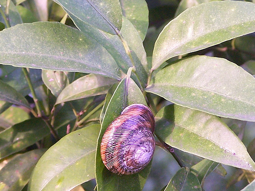 Ad:  440523929_452428f295.jpg
Gsterim: 216
Boyut:  140.6 KB