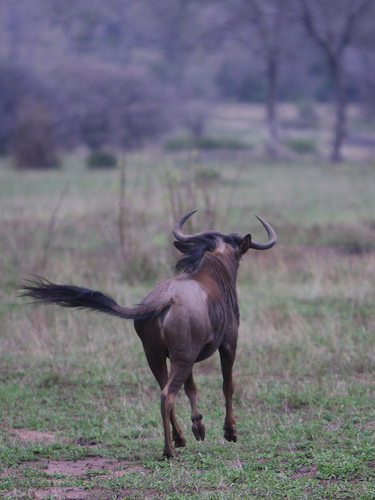 Ad:  1802718863_6b5dadc433.jpg
G�sterim: 206
Boyut:  91.8 KB