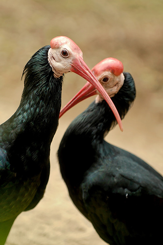 Ad:  82232093_2ac89cd3f1.jpg
Gsterim: 201
Boyut:  74.4 KB