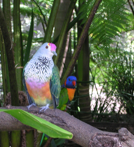 Ad:  2148348500_2b1dff2dac.jpg
Gsterim: 326
Boyut:  174.9 KB