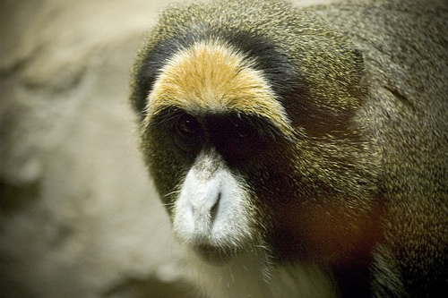 Ad:  338468400_694f62a9ce.jpg
Gsterim: 391
Boyut:  94.9 KB