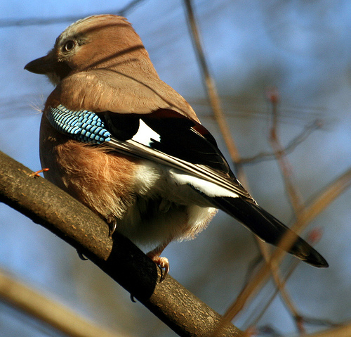 Ad:  2189198034_30dcd31be5.jpg
Gsterim: 237
Boyut:  149.8 KB