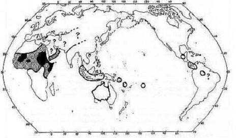 Ad:  Kadin_sunneti.jpg
Gsterim: 530
Boyut:  24.6 KB