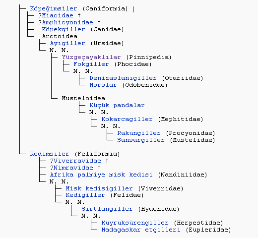 Ad: Carnivora.PNG
Gösterim: 582
Boyut: 16.9 KB