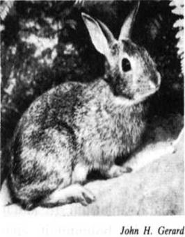 Ad: kkuyruk.JPG
Gösterim: 690
Boyut: 18.2 KB