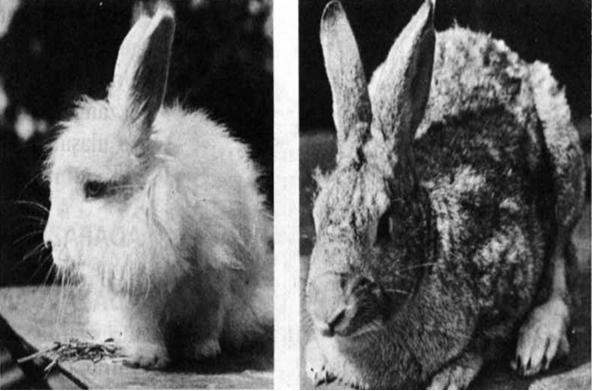 Ad: Ankara ve çiçilya.JPG
Gösterim: 687
Boyut: 37.7 KB