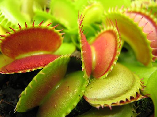 Ad: etoburcc6.jpg
Gösterim: 2442
Boyut: 29.7 KB