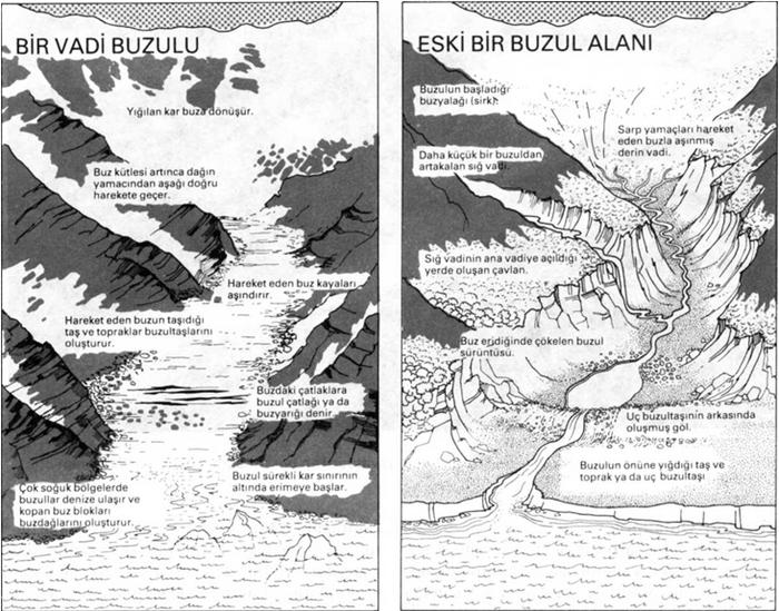 Ad:  diagram.jpg
Gsterim: 857
Boyut:  97.1 KB